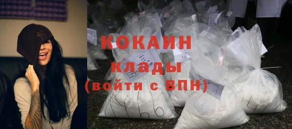 Альфа ПВП Инта