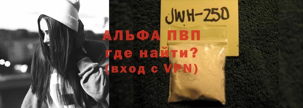 эйфоретик Инсар