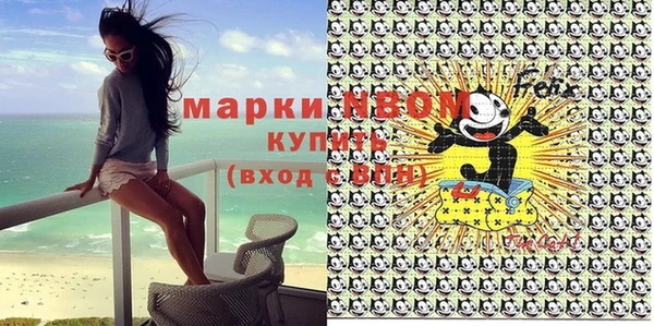 Альфа ПВП Инта