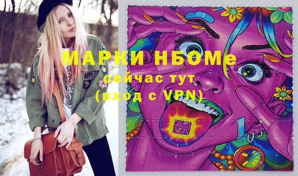 Альфа ПВП Инта