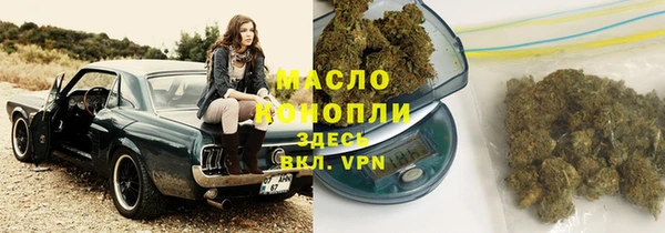 эйфоретик Инсар